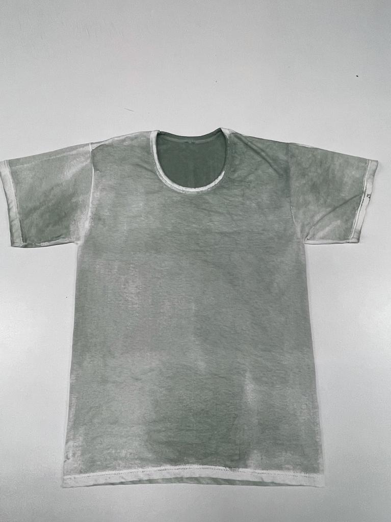 Model 1