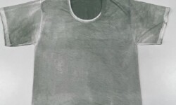 Model 1